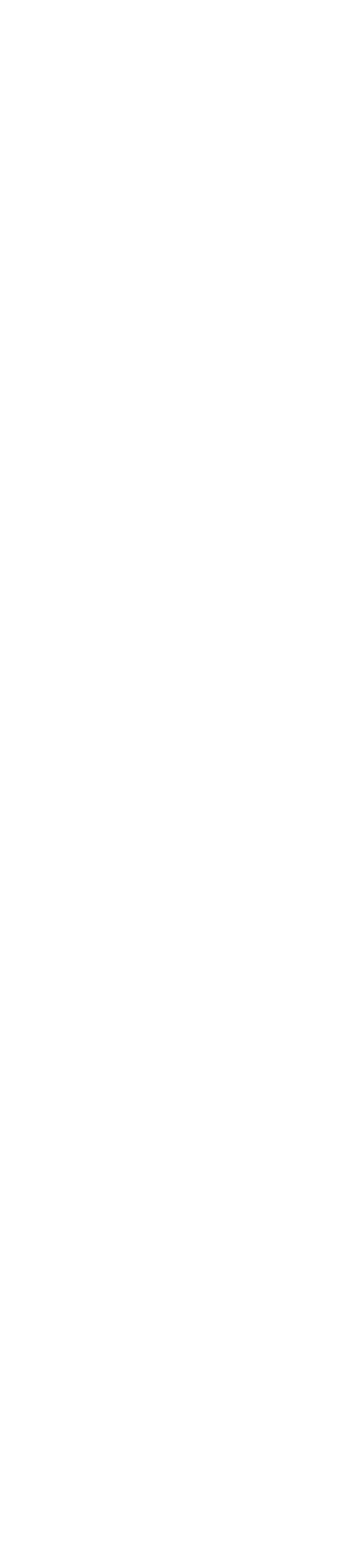 Left Image